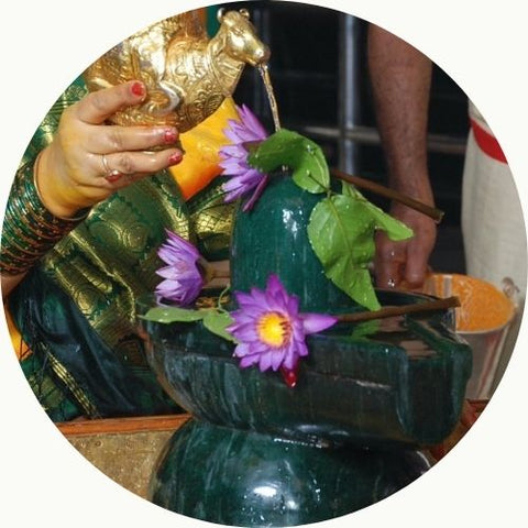 Magha Masam Chaturdasi – Maha Shivaratri special pujas -   All Day Seva  Mar. 1, 2022
