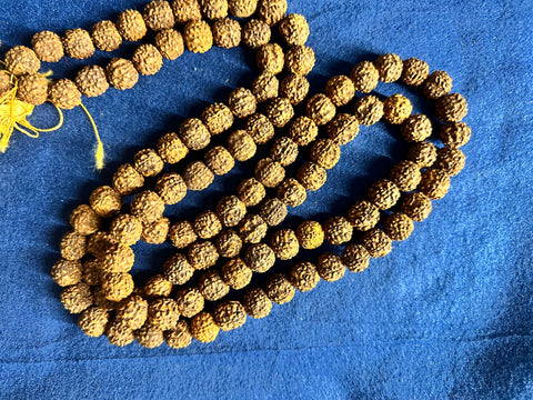 Rudraksha ~ Long Mala on cotton thread- 11MM 108 beads