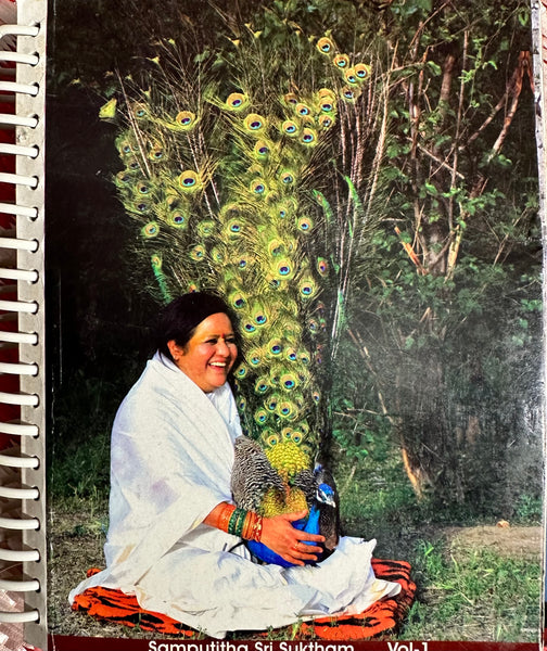 Amma's (TV) talks on Samputita Sri Suktam(Telugu)-12 vol. DVD set